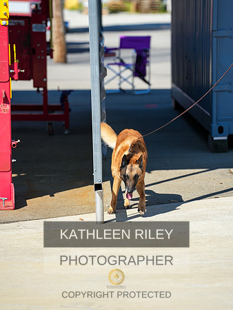 2022-KathleenRileyPhotography-03890