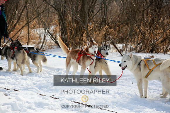 2022-KathleenRileyPhotography-4470