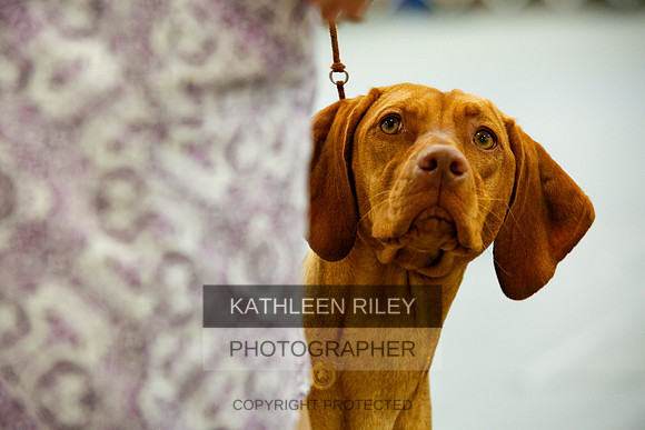 2022-KathleenRileyPhotography-9943