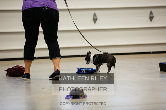 2022-KathleenRileyPhotography-7250