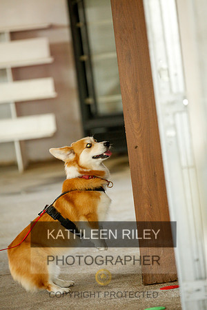 2022-KathleenRileyPhotography-9358