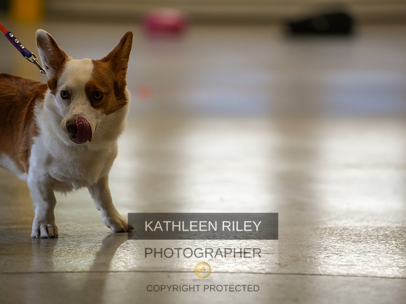 2022-KathleenRileyPhotography-03754