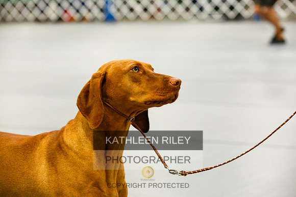 2022-KathleenRileyPhotography-9843