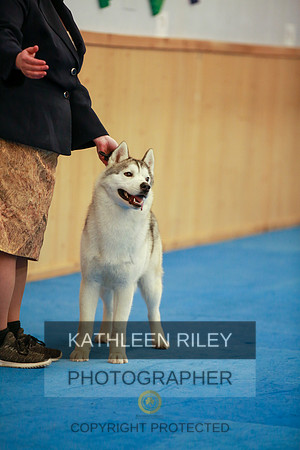 2022-KathleenRileyPhotography-6063