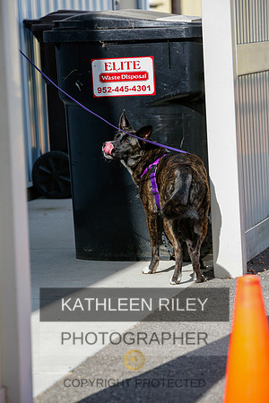 2022-KathleenRileyPhotography-3865