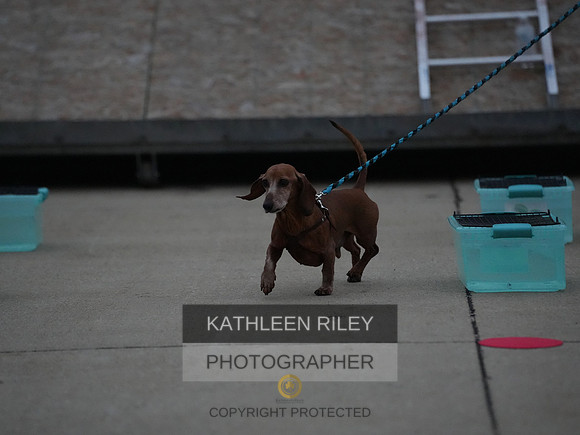 2022-KathleenRileyPhotography115