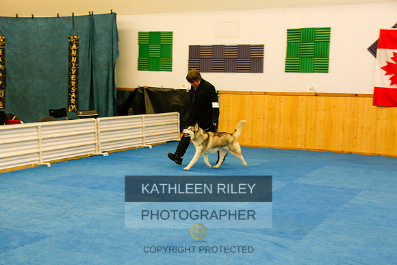 2022-KathleenRileyPhotography-8297