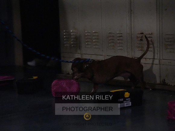 2022-KathleenRileyPhotography188