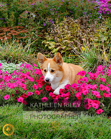 2022-KathleenRileyPhotography-4459