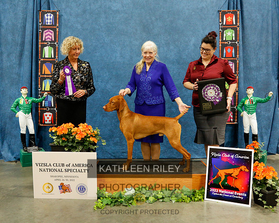 2022-KathleenRileyPhotography-7582