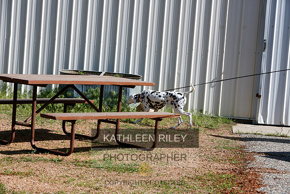 2022-KathleenRileyPhotography-9518