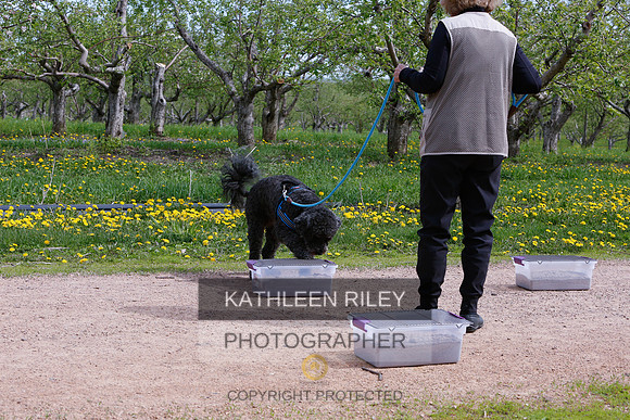 2022-KathleenRileyPhotography-8702