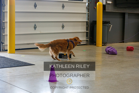 2022-KathleenRileyPhotography-4898