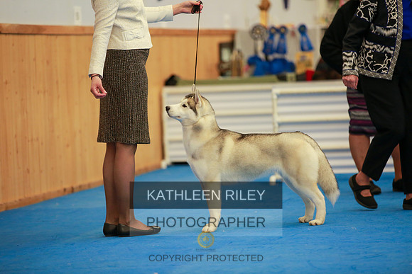 2022-KathleenRileyPhotography-6251