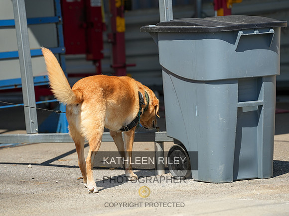 2022-KathleenRileyPhotography-03982