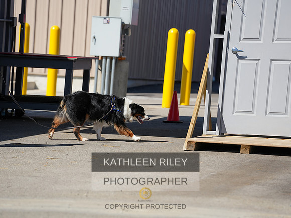 2022-KathleenRileyPhotography-03967