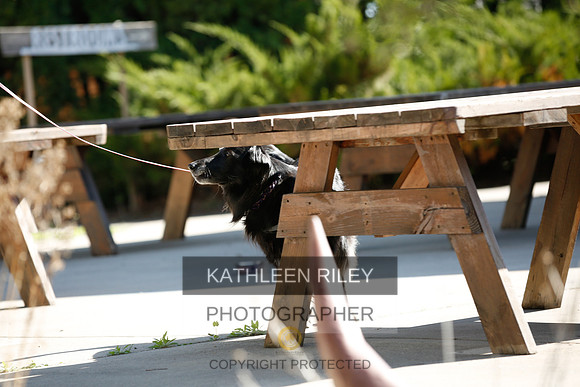 2022-KathleenRileyPhotography-2671