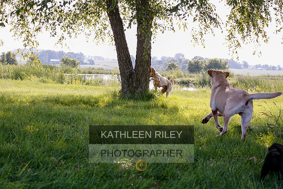 2022-KathleenRileyPhotography-7871