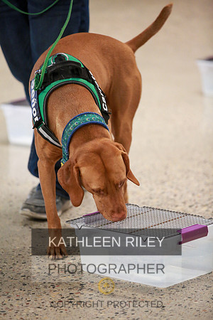 2022-KathleenRileyPhotography-7570