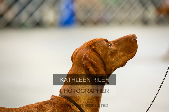 2022-KathleenRileyPhotography-8724
