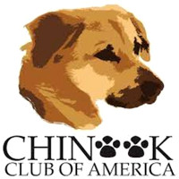CCA-logo