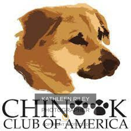 CCA-logo