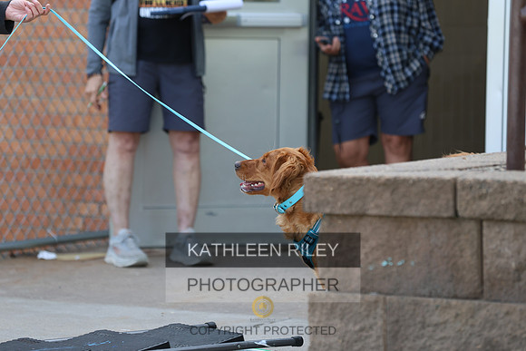 SJLT5296