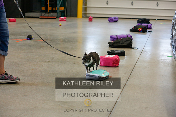 2022-KathleenRileyPhotography-4796