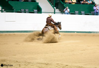 Reining Horses Minnesota 2014