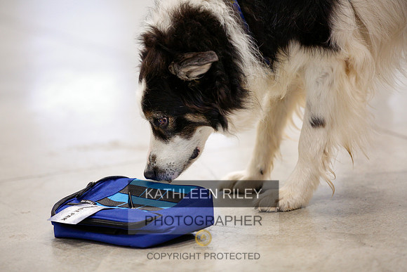 2022-KathleenRileyPhotography-7244