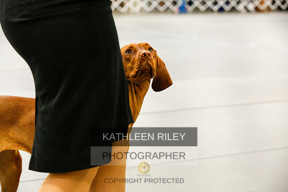 2022-KathleenRileyPhotography-9493