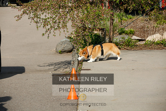 2022-KathleenRileyPhotography-2657