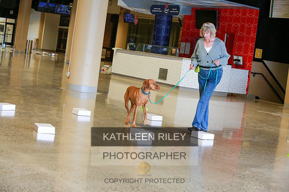 2022-KathleenRileyPhotography-7550