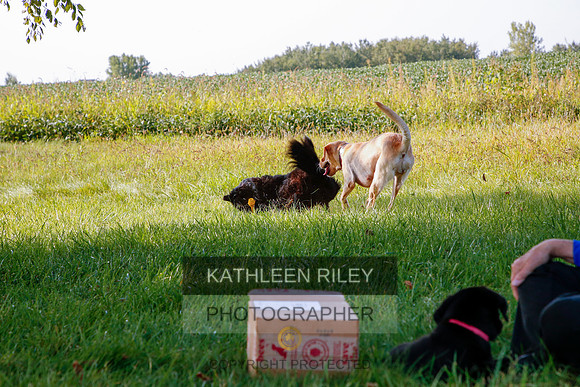 2022-KathleenRileyPhotography-5574