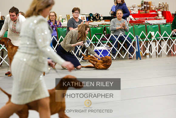 2022-KathleenRileyPhotography-5883