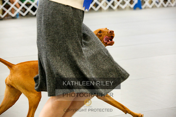 2022-KathleenRileyPhotography-9785