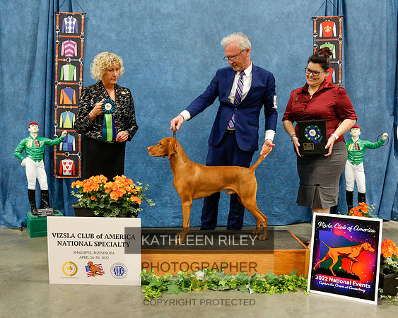 2022-KathleenRileyPhotography-7433