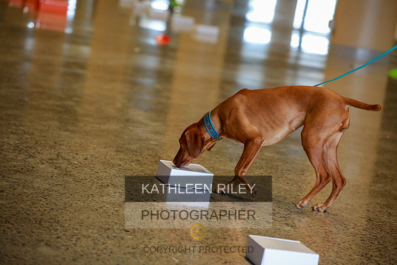2022-KathleenRileyPhotography-7546