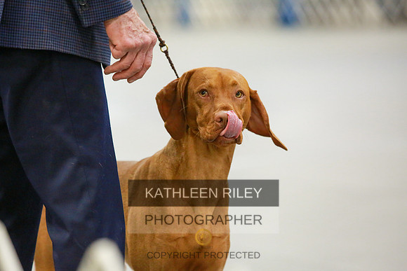 2022-KathleenRileyPhotography-8568