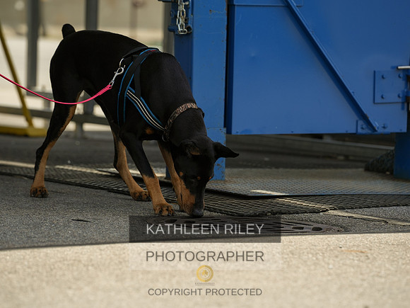 2022-KathleenRileyPhotography-04365