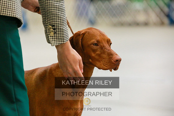 2022-KathleenRileyPhotography-8793