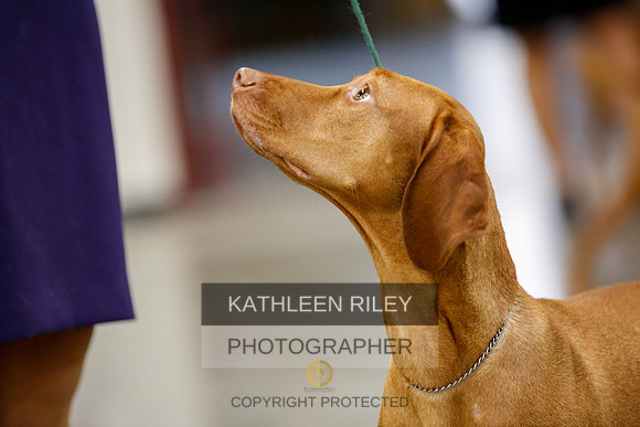 2022-KathleenRileyPhotography-2363