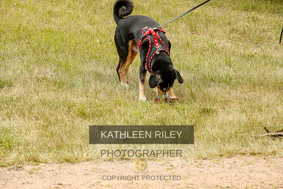 2022-KathleenRileyPhotography-0376