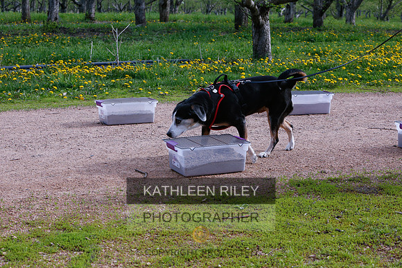 2022-KathleenRileyPhotography-8384