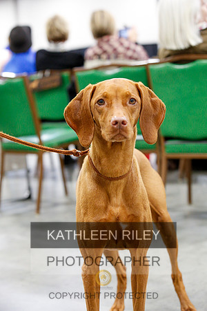 2022-KathleenRileyPhotography-1231
