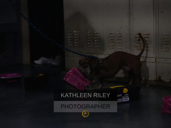 2022-KathleenRileyPhotography177