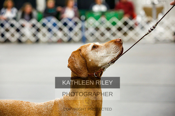 2022-KathleenRileyPhotography-0128