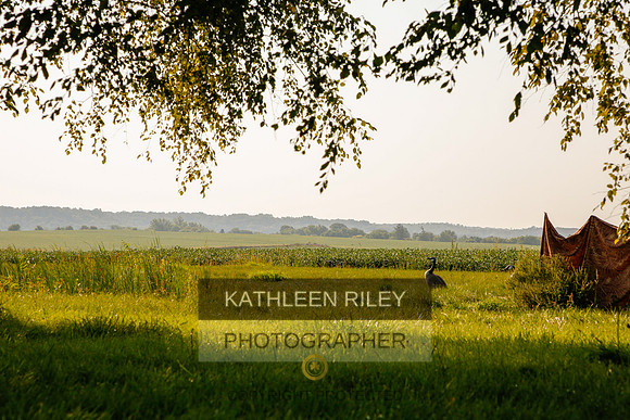 2022-KathleenRileyPhotography-5467