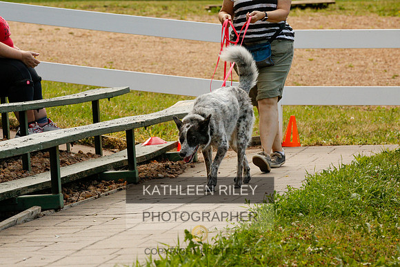 2022-KathleenRileyPhotography-0060