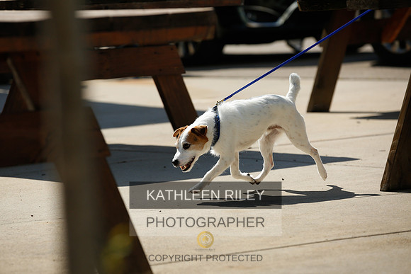 2022-KathleenRileyPhotography-2685